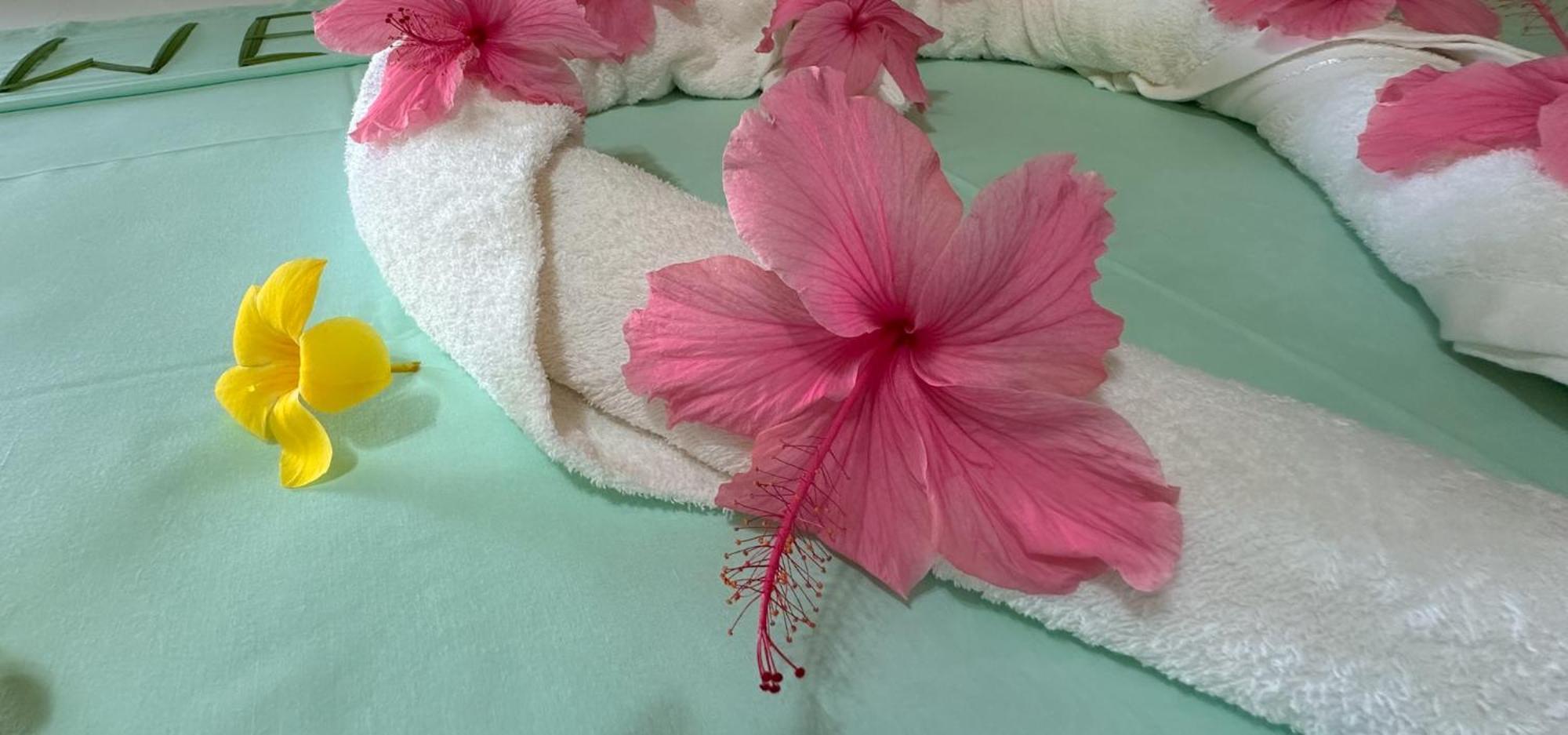 Villa Hortensia Đảo Đảo La Digue Ngoại thất bức ảnh